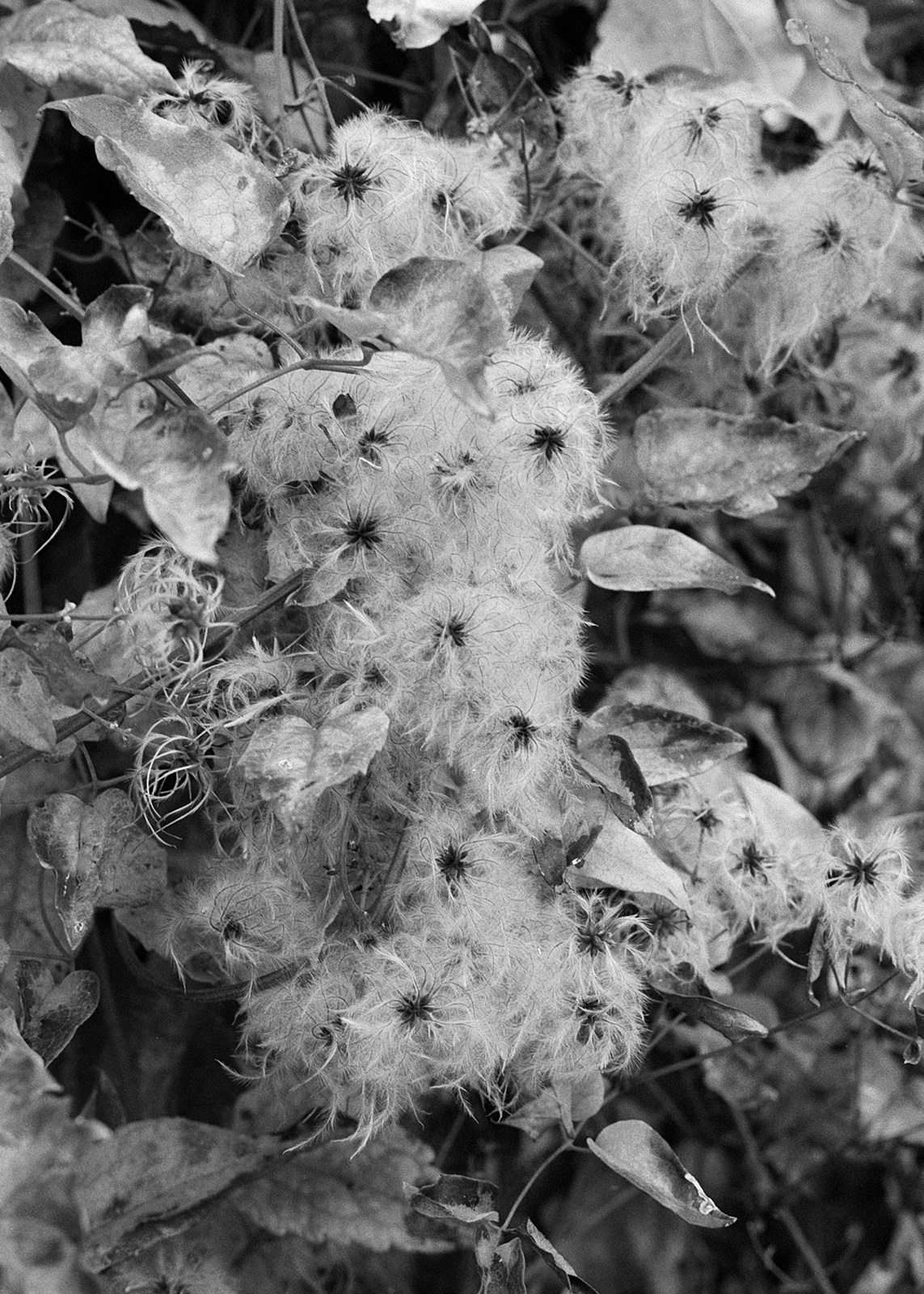 Humide au printemps 2