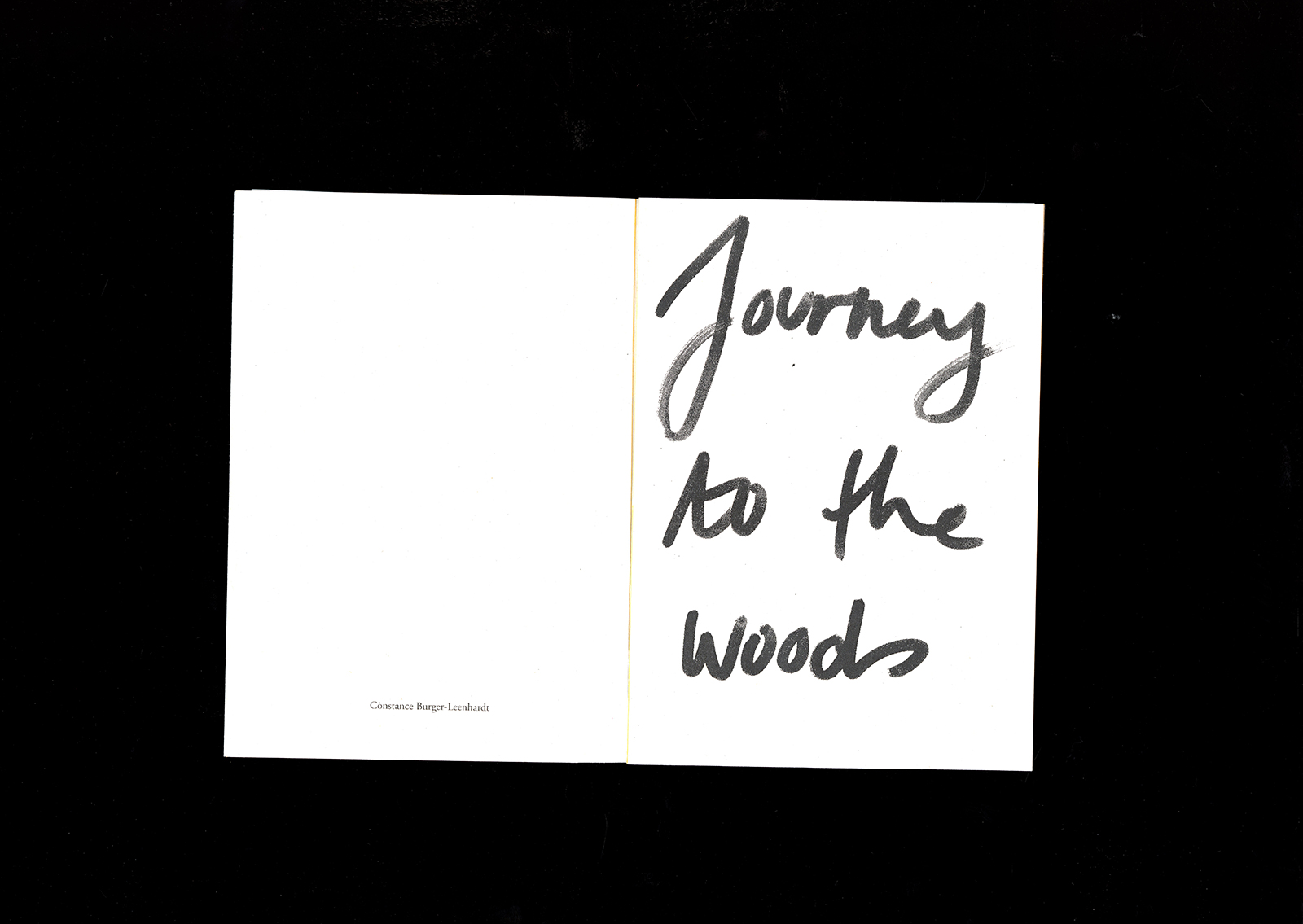 Journey to the woods 6